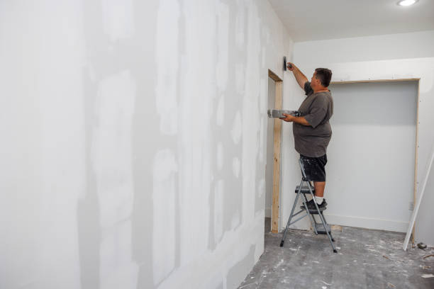 Best Emergency Mold Remediation  in Deer Park, TX