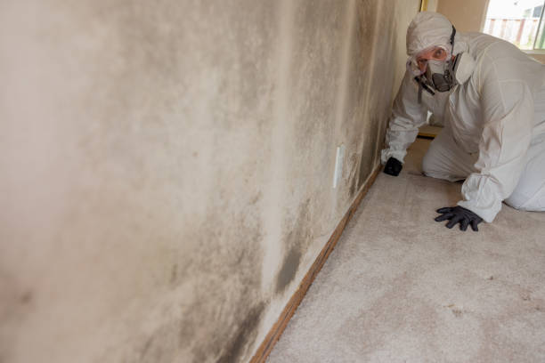 Best Air Quality Testing for Mold Spores  in Deer Park, TX